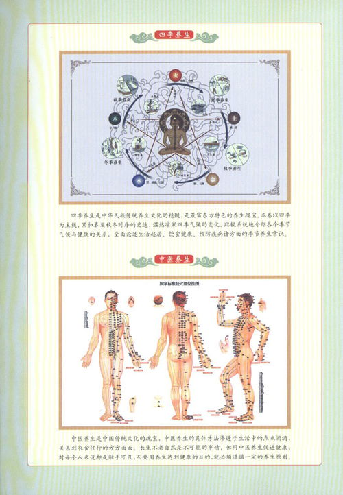 四季养生食疗 中医保健的智慧与妙方